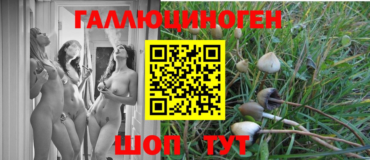 Псилоцибиновые грибы MAGIC MUSHROOMS  Вход с VPN  что такое   Волхов 
